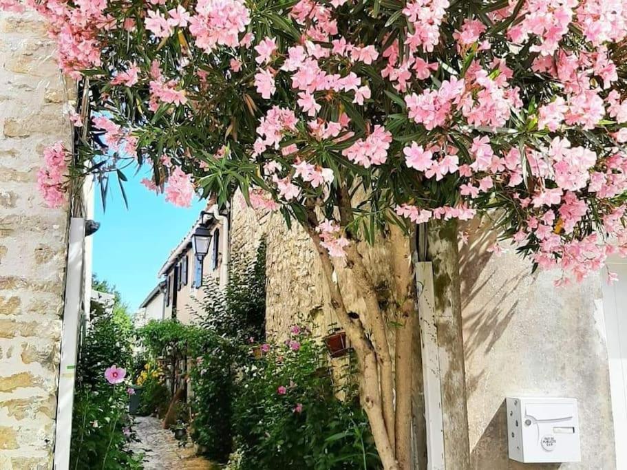 Delicieux Moment De Detente Au Coeur De Saint Martin De Re Saint-Martin-de-Ré Exterior foto